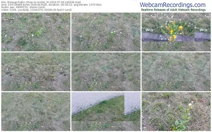 showup-mister_m-07-06-2024-18-29-26