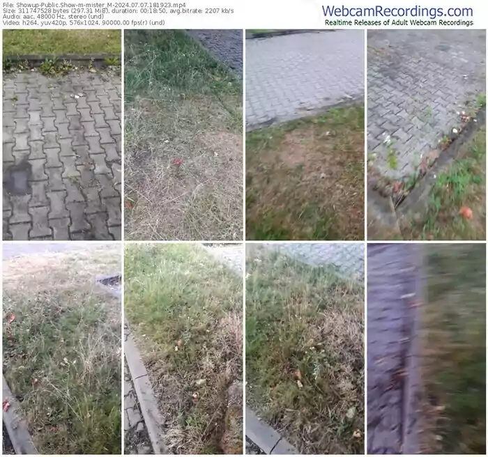 showup-mister_m-07-07-2024-18-19-23