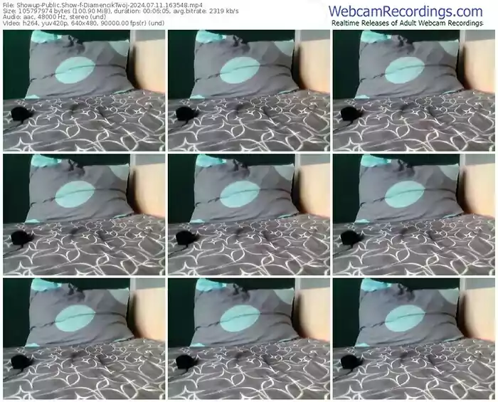 showup-diamenciktwoj-07-11-2024-16-35-48