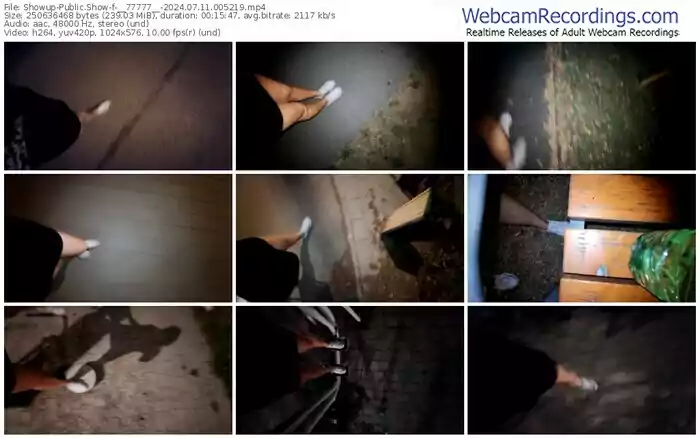 showup-__77777__-07-11-2024-00-52-19