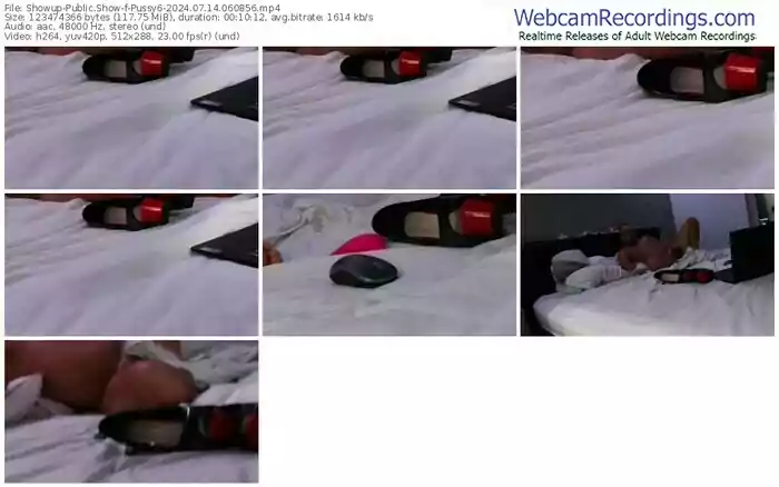 showup-pussy6-07-14-2024-06-08-56