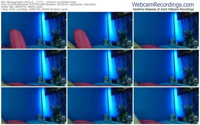 showup-__77777__-07-14-2024-03-00-54