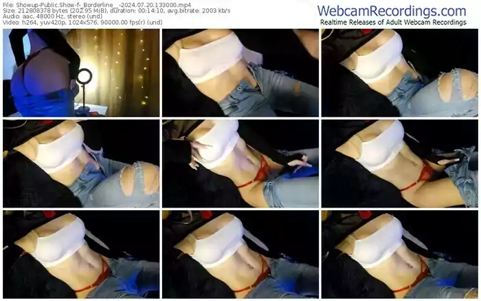 showup-_borderline__-07-20-2024-13-30-00