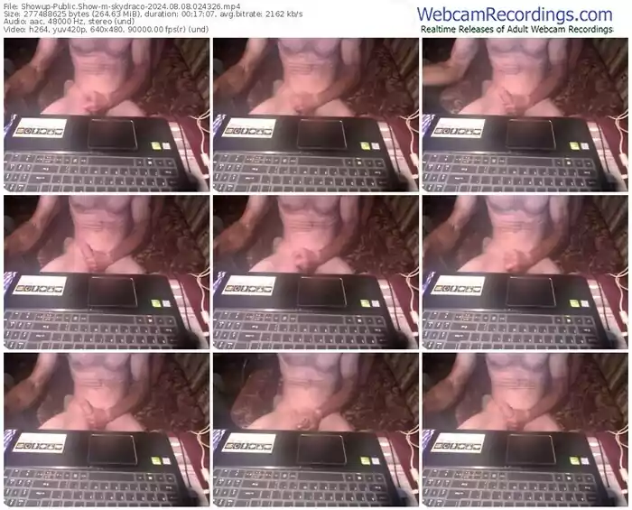 showup-skydraco-08-08-2024-02-43-26