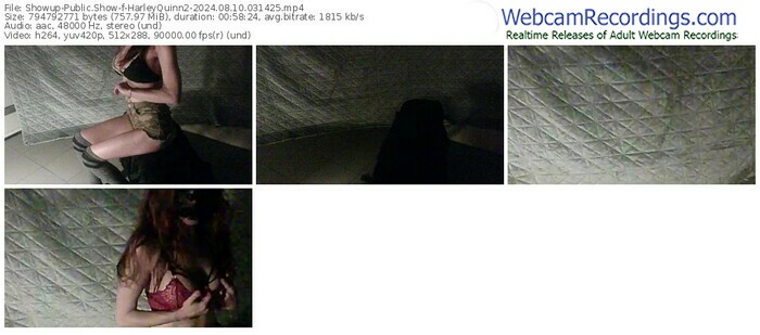 showup-harleyquinn2-08-10-2024-03-14-25