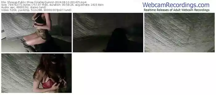 showup-harleyquinn2-08-10-2024-03-14-25