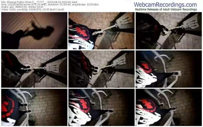 showup-__77777__-08-10-2024-22-01-40