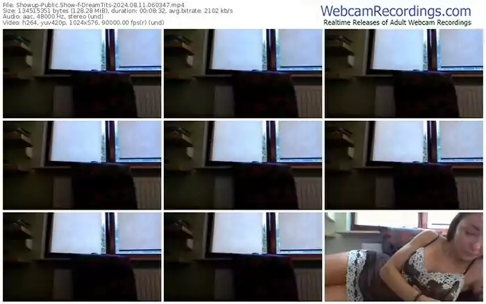 showup-dreamtits-08-11-2024-06-03-47