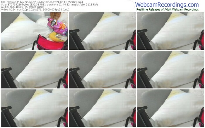 showup-pussyinflames-08-11-2024-05-38-45