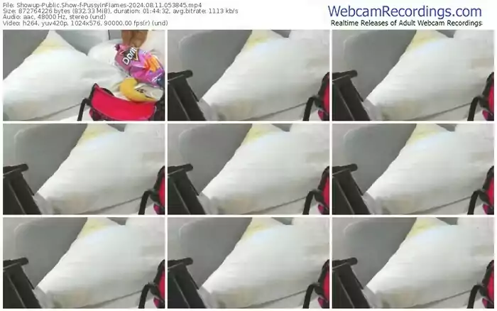 showup-pussyinflames-08-11-2024-05-38-45