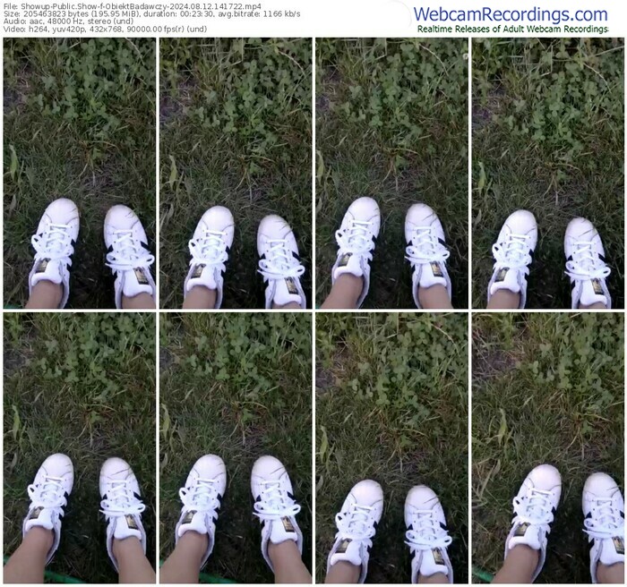 showup-obiektbadawczy-08-12-2024-14-17-22