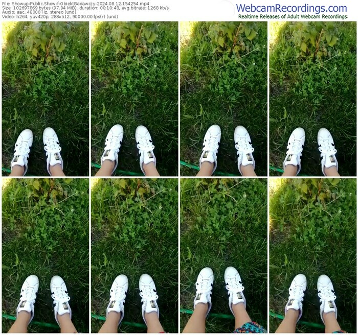 showup-obiektbadawczy-08-12-2024-15-42-54