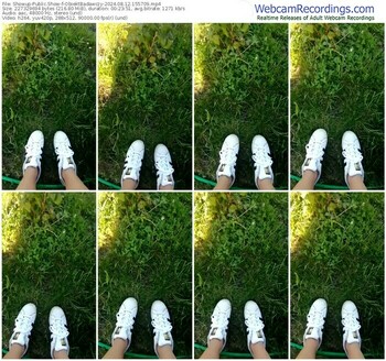 showup-obiektbadawczy-08-12-2024-15-57-09