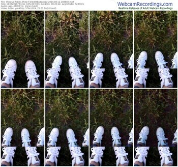 showup-obiektbadawczy-08-12-2024-18-38-02