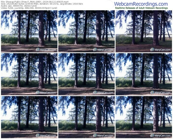 showup-_pani_grey_-08-12-2024-14-59-25