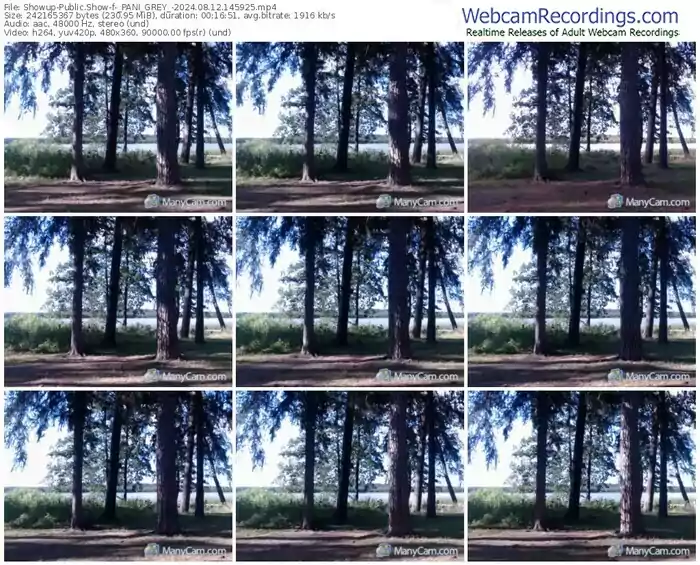 showup-_pani_grey_-08-12-2024-14-59-25