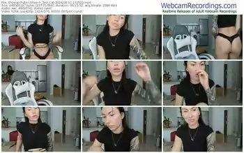 showup-_two_cat-08-12-2024-13-25-22