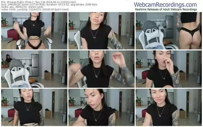 showup-_two_cat-08-12-2024-13-25-22