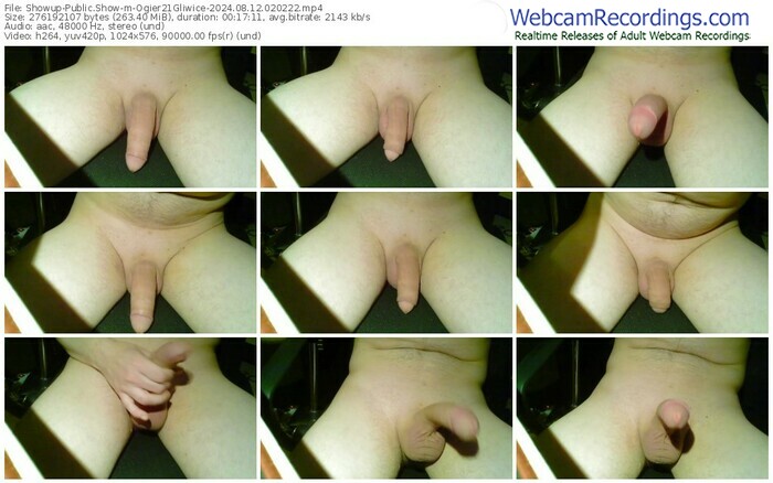 showup-ogier21gliwice-08-12-2024-02-02-22