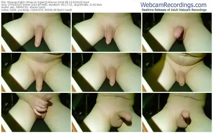 showup-ogier21gliwice-08-12-2024-02-02-22