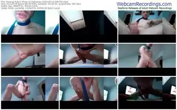 showup-stallowwy-08-13-2024-04-57-02