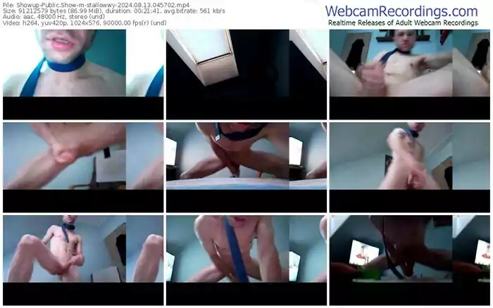 showup-stallowwy-08-13-2024-04-57-02