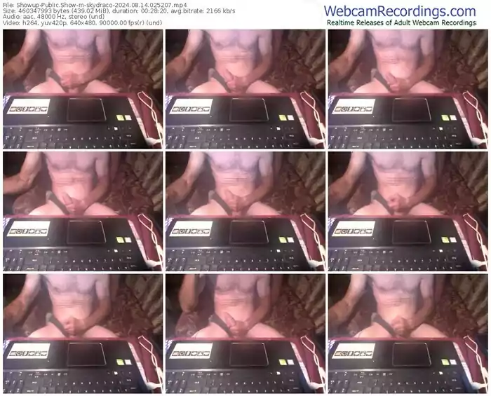 showup-skydraco-08-14-2024-02-52-07