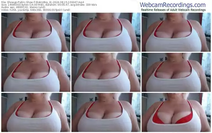 showup-stokrotka_31-08-15-2024-10-00-47