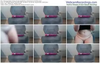 showup-inaccessibletwo-08-15-2024-10-39-42