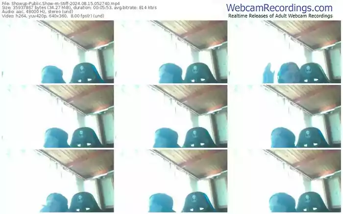 showup-stiff-08-15-2024-05-27-40