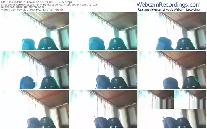 showup-stiff-08-15-2024-05-52-47