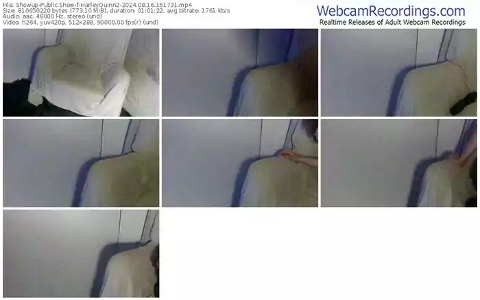 showup-harleyquinn2-08-16-2024-16-17-31