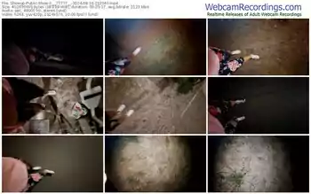 showup-__77777__-08-16-2024-23-20-49