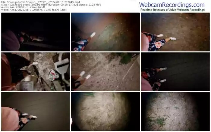 showup-__77777__-08-16-2024-23-20-49