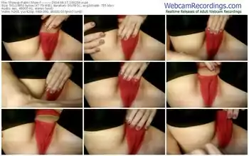 showup----------08-17-2024-10-02-54