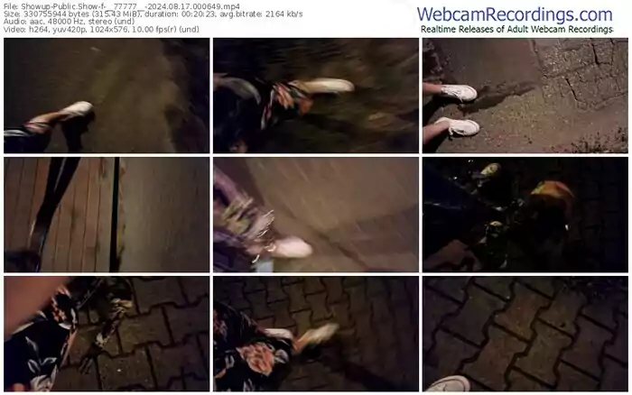 showup-__77777__-08-17-2024-00-06-49