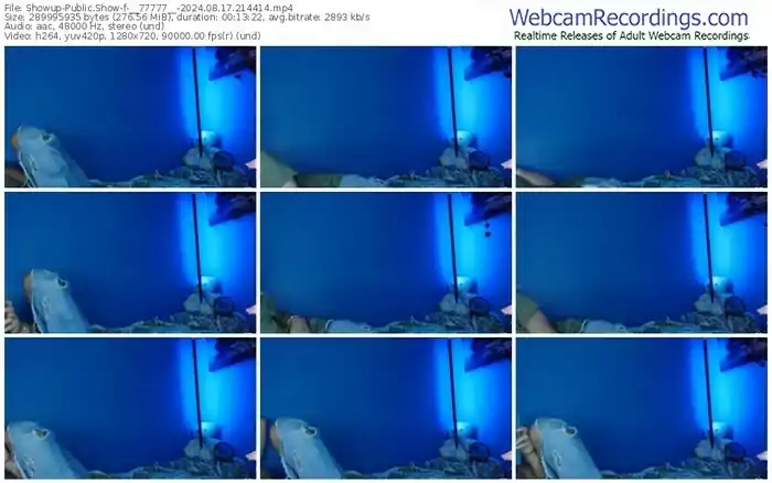 showup-__77777__-08-17-2024-21-44-14