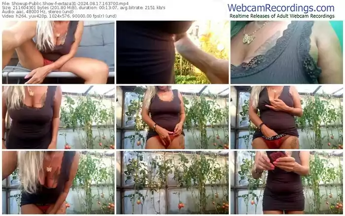 showup-extaza31-08-17-2024-16-37-00