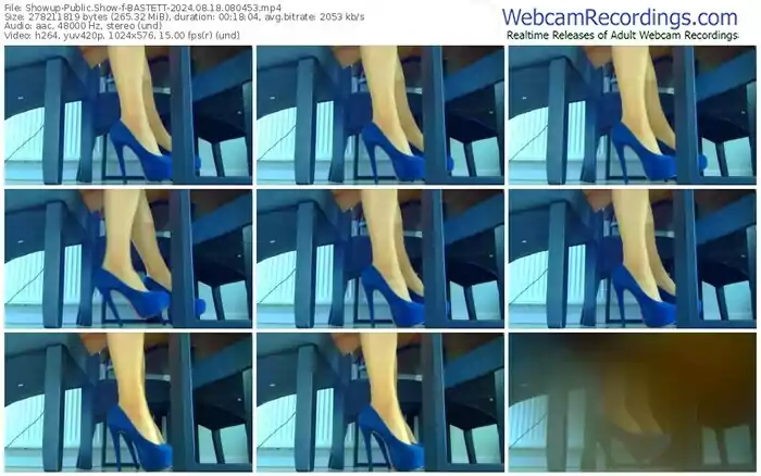 showup-bastett-08-18-2024-08-04-53