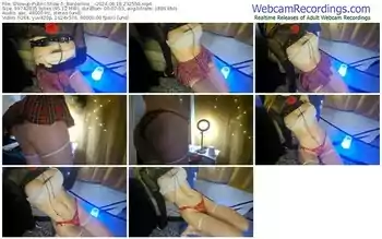 showup-_borderline__-08-18-2024-23-25-58