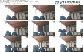 showup-stiff-08-18-2024-11-47-25