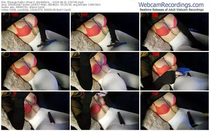 showup-_borderline__-08-21-2024-23-37-49