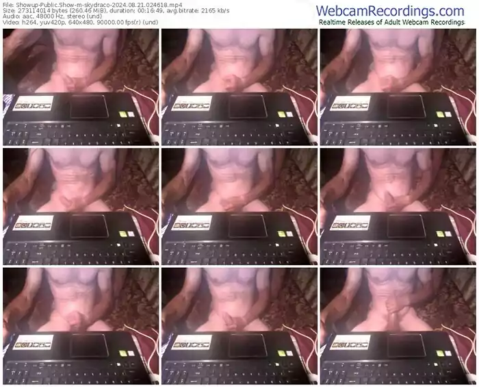 showup-skydraco-08-21-2024-02-46-18