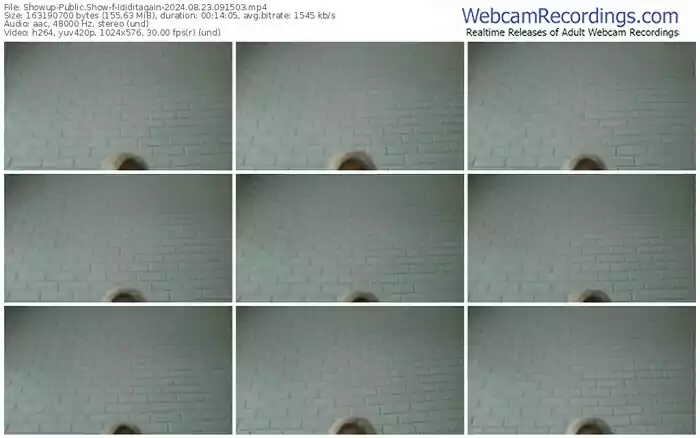 showup-ididitagain-08-23-2024-09-15-03