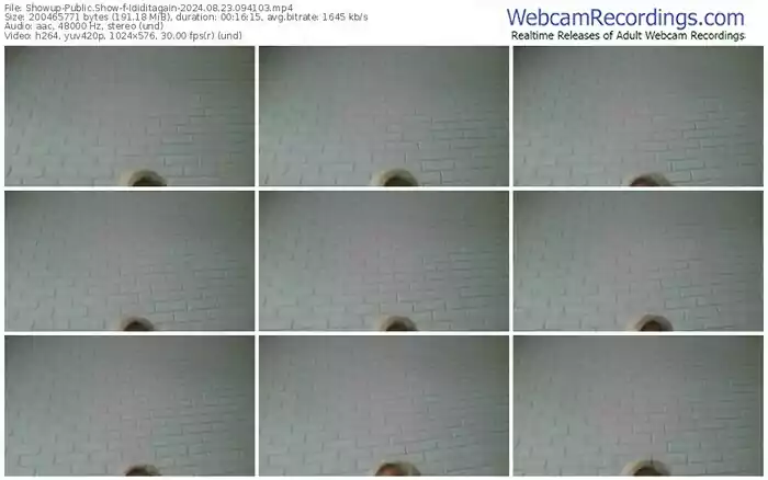 showup-ididitagain-08-23-2024-09-41-03