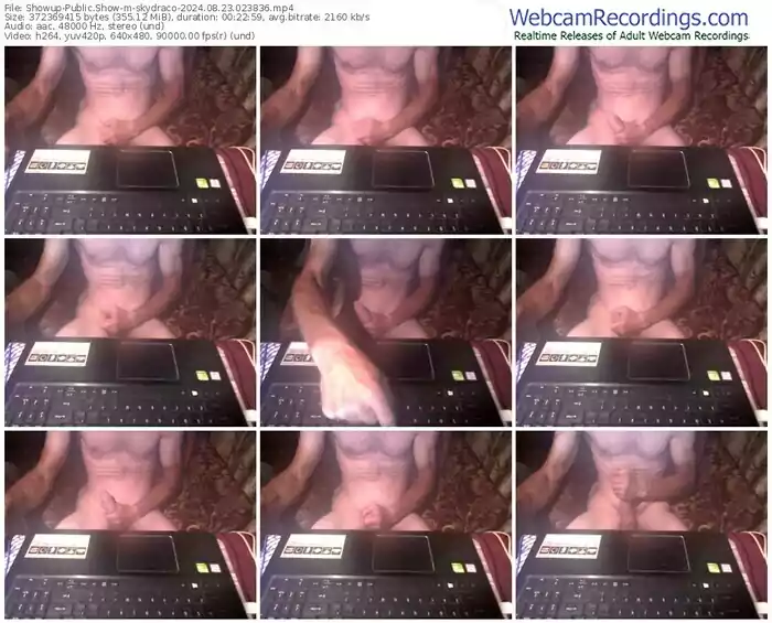 showup-skydraco-08-23-2024-02-38-36