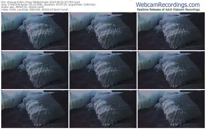 showup-babydream-08-25-2024-07-13-55