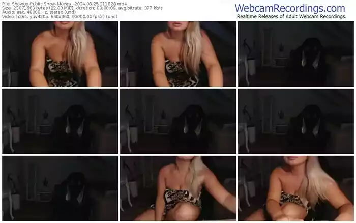 showup-kesja_-08-25-2024-21-18-28