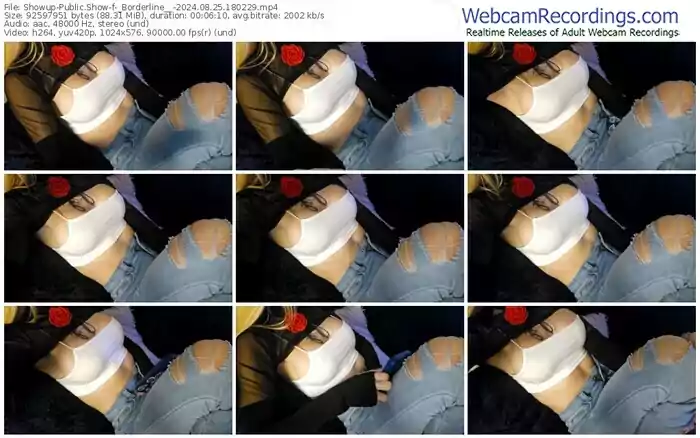 showup-_borderline__-08-25-2024-18-02-29