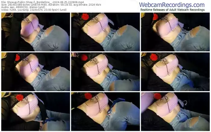 showup-_borderline__-08-25-2024-22-28-08